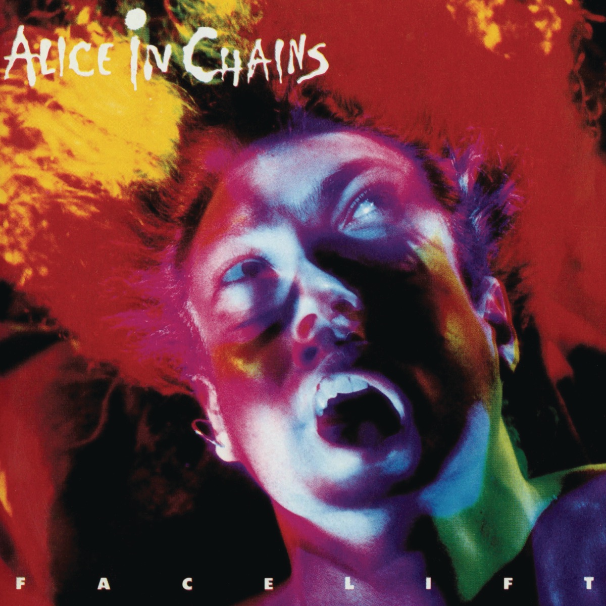 Обложка Alice in Chains — Facelift