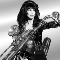 Обложка Cher — Forever