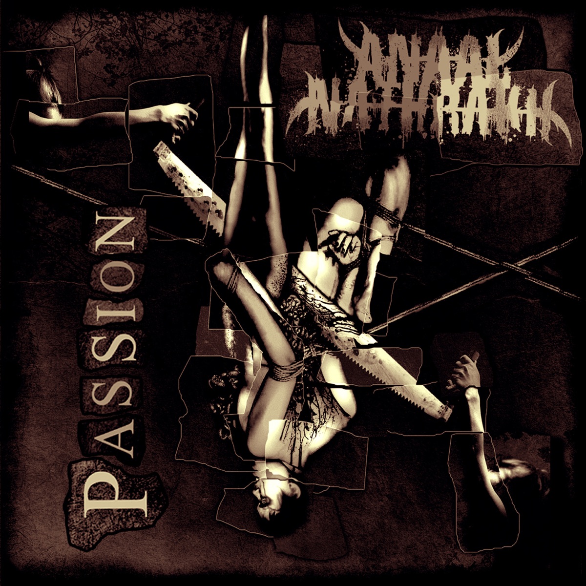 Обложка Anaal Nathrakh — Passion