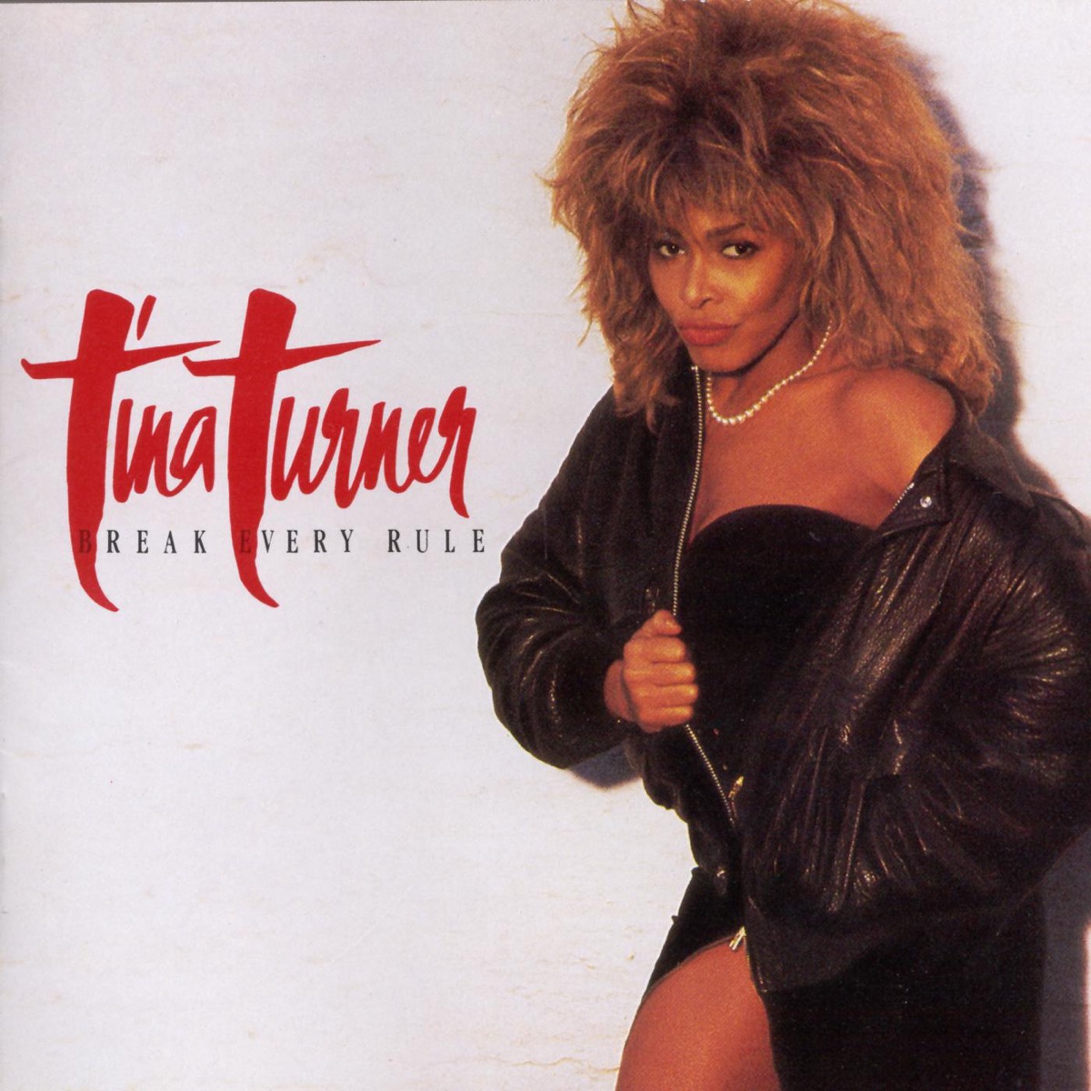 Обложка Tina Turner — Break Every Rule