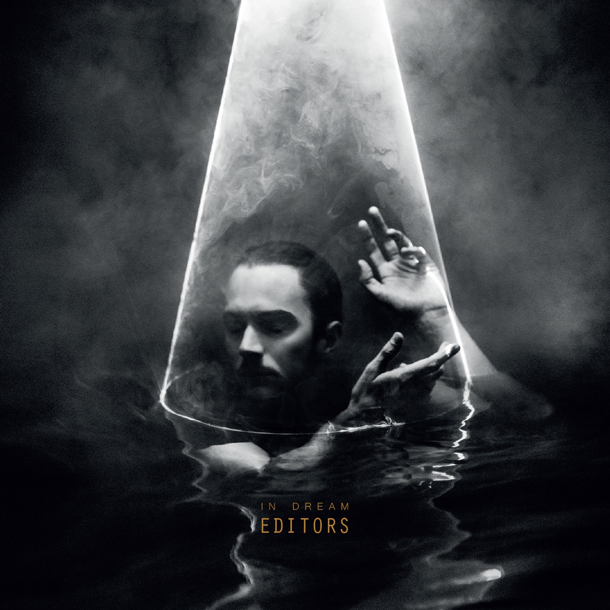 Обложка Editors — In Dream
