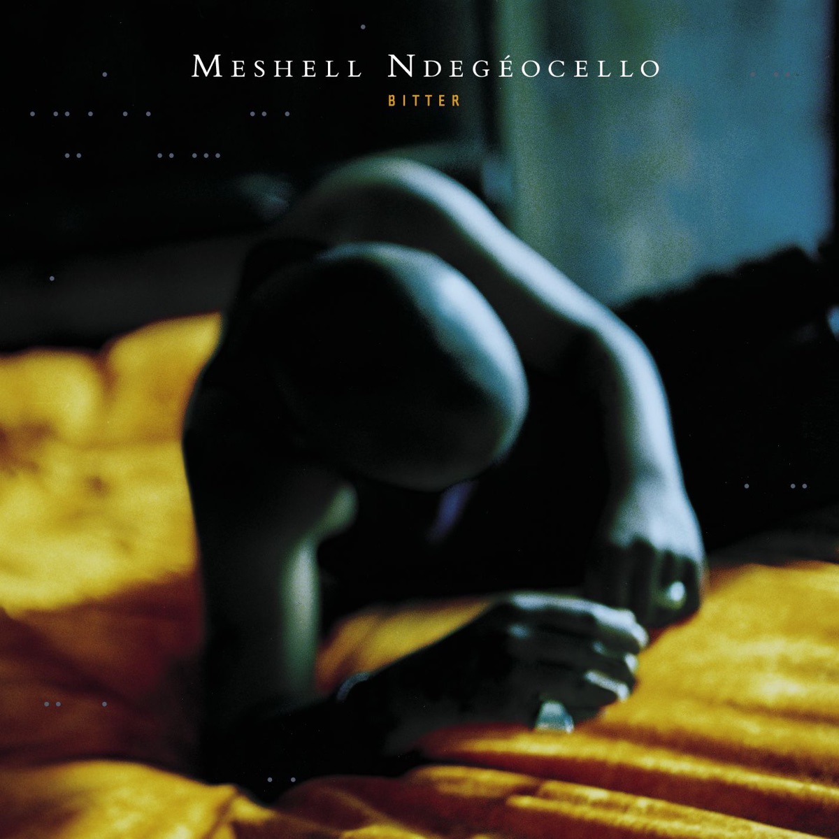 Обложка Meshell Ndegeocello — BITTER