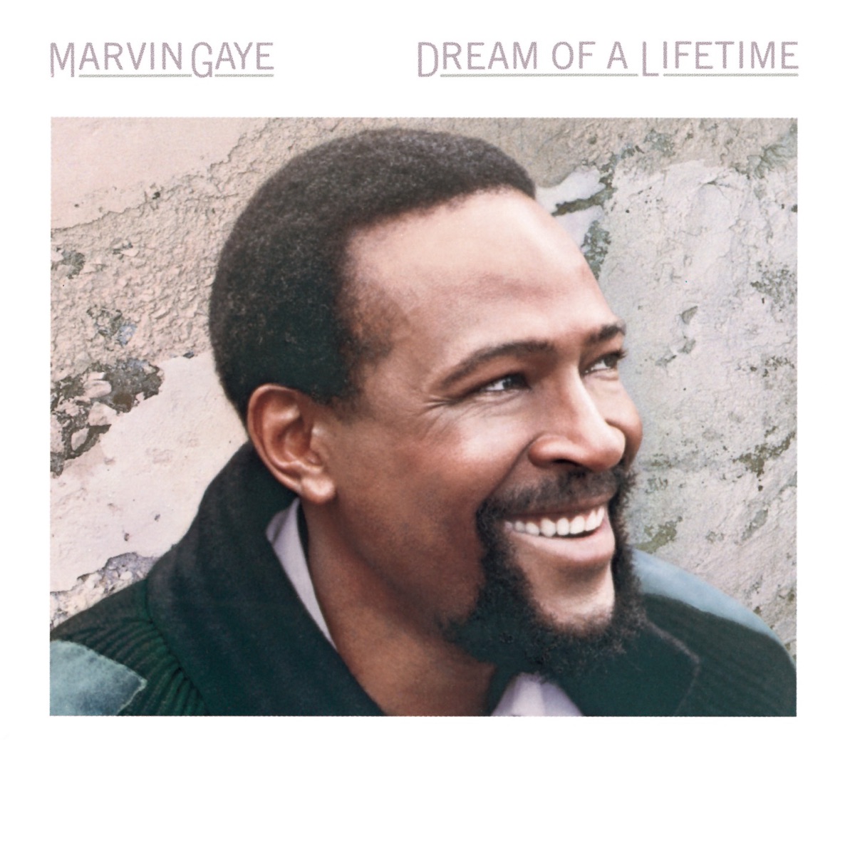 Обложка Marvin Gaye — Dream Of A Lifetime