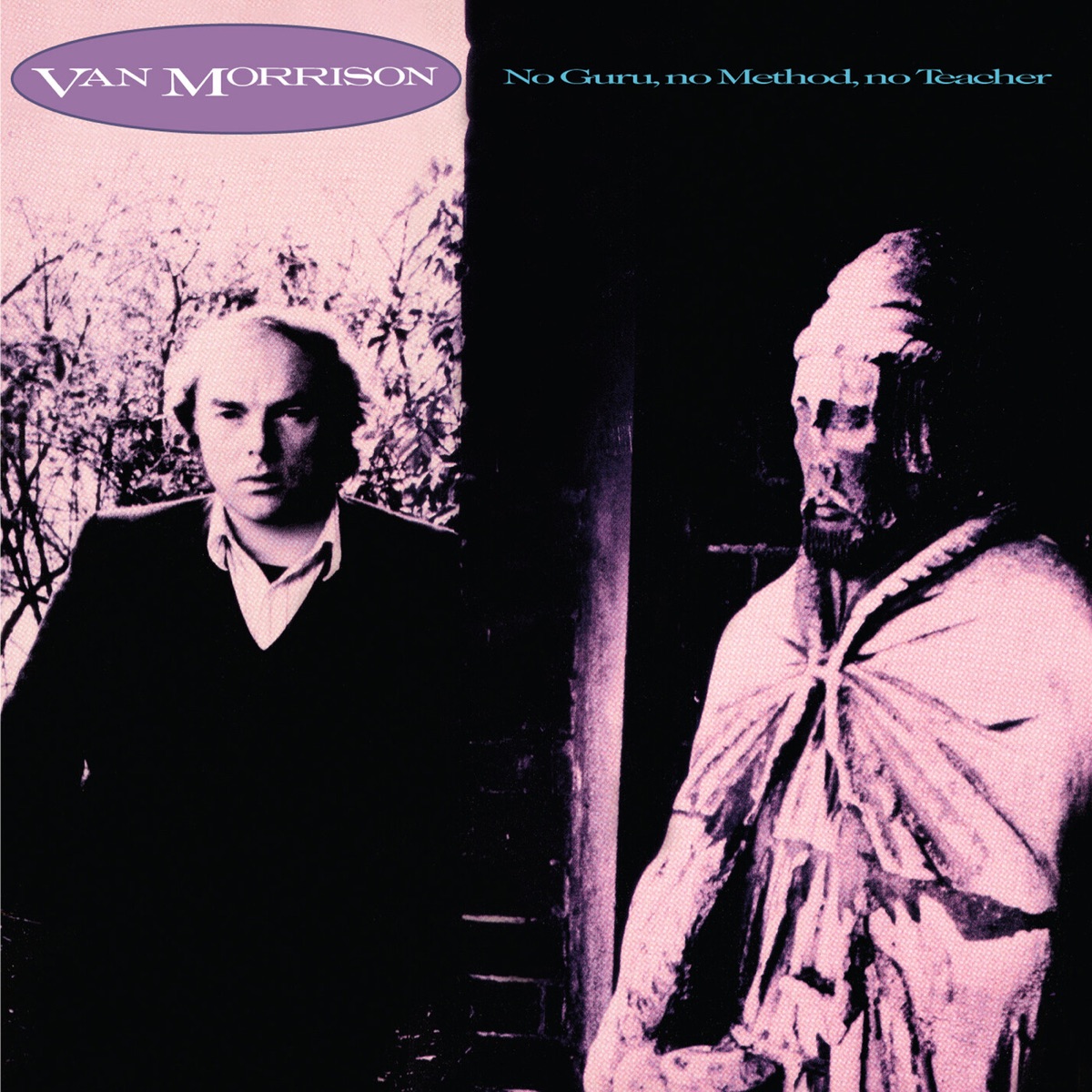 Обложка Van Morrison — No Guru, No Method, No Teacher