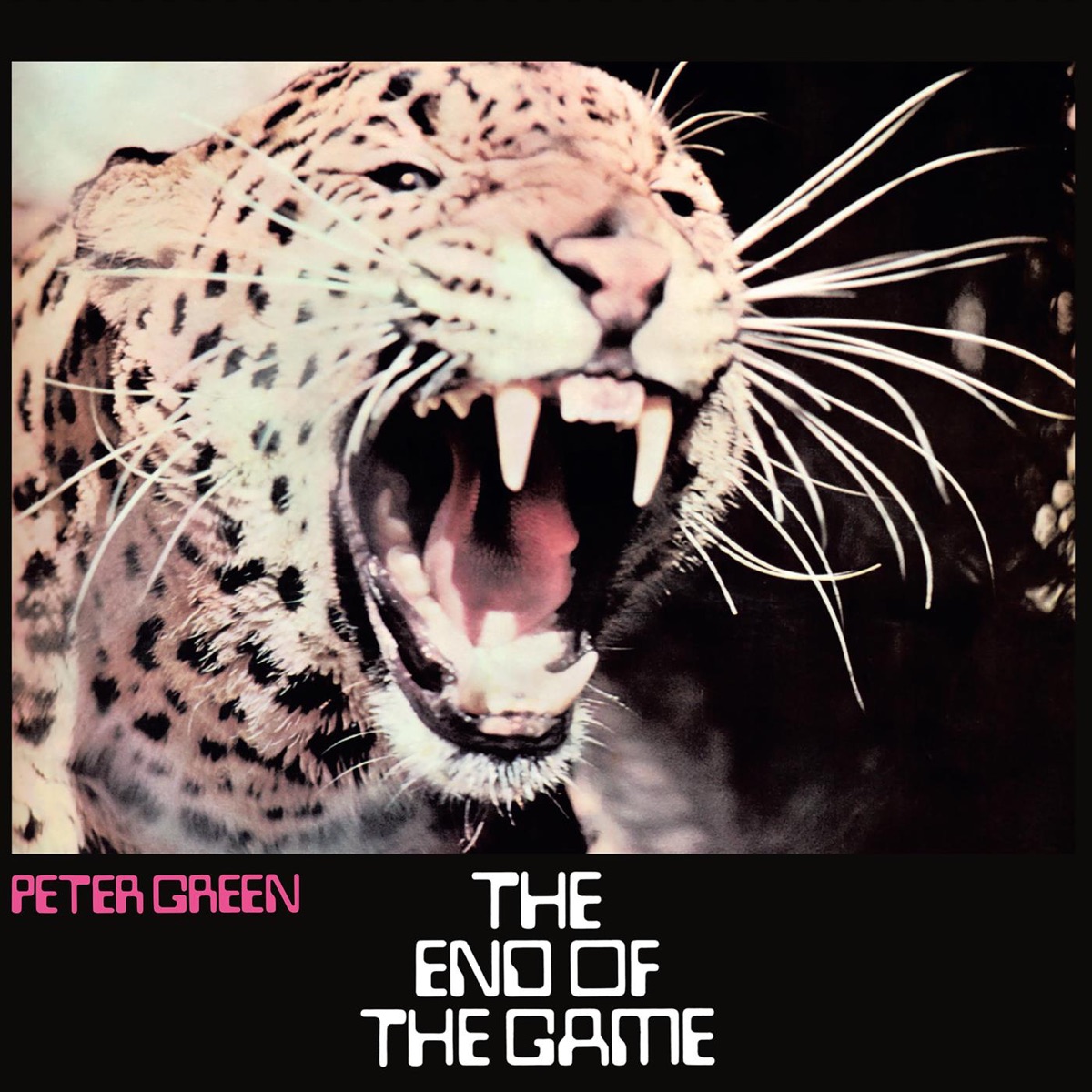 Обложка Peter Green — The End Of The Game