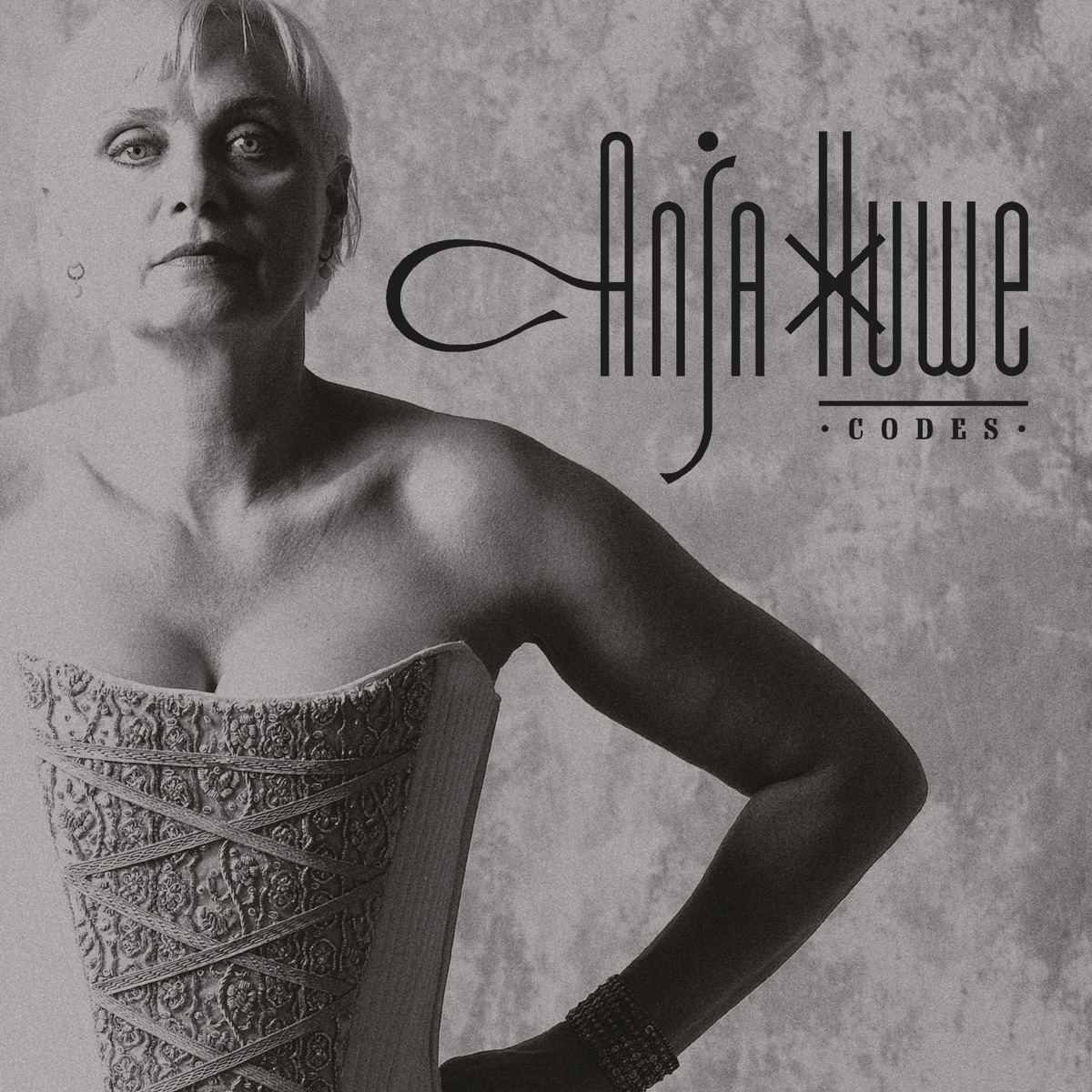 Обложка Anja Huwe — Codes