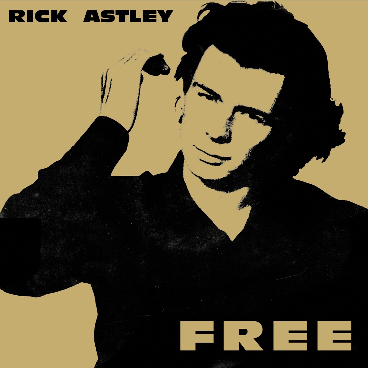 Обложка Rick Astley — Free