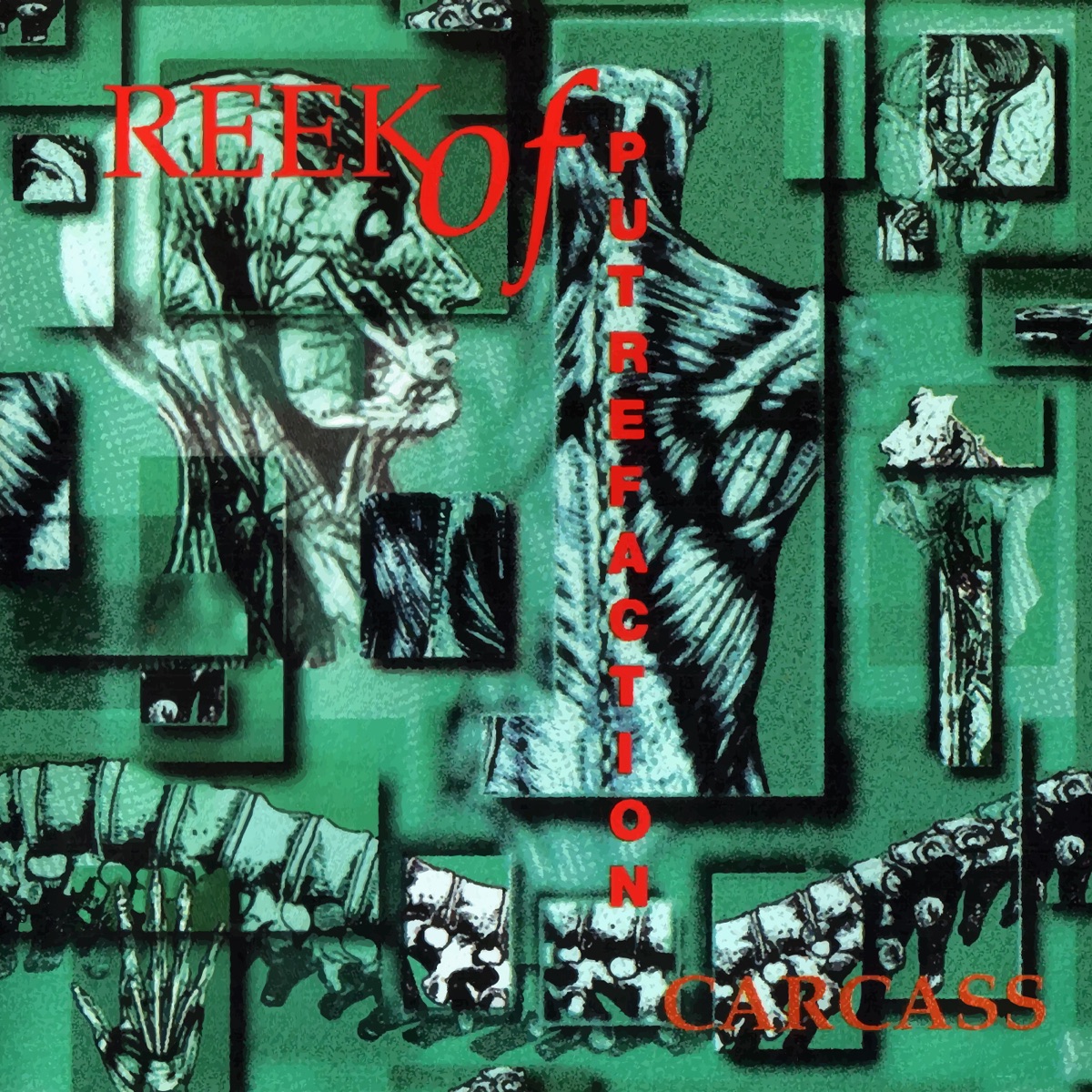 Обложка Carcass — Reek Of Putrefaction