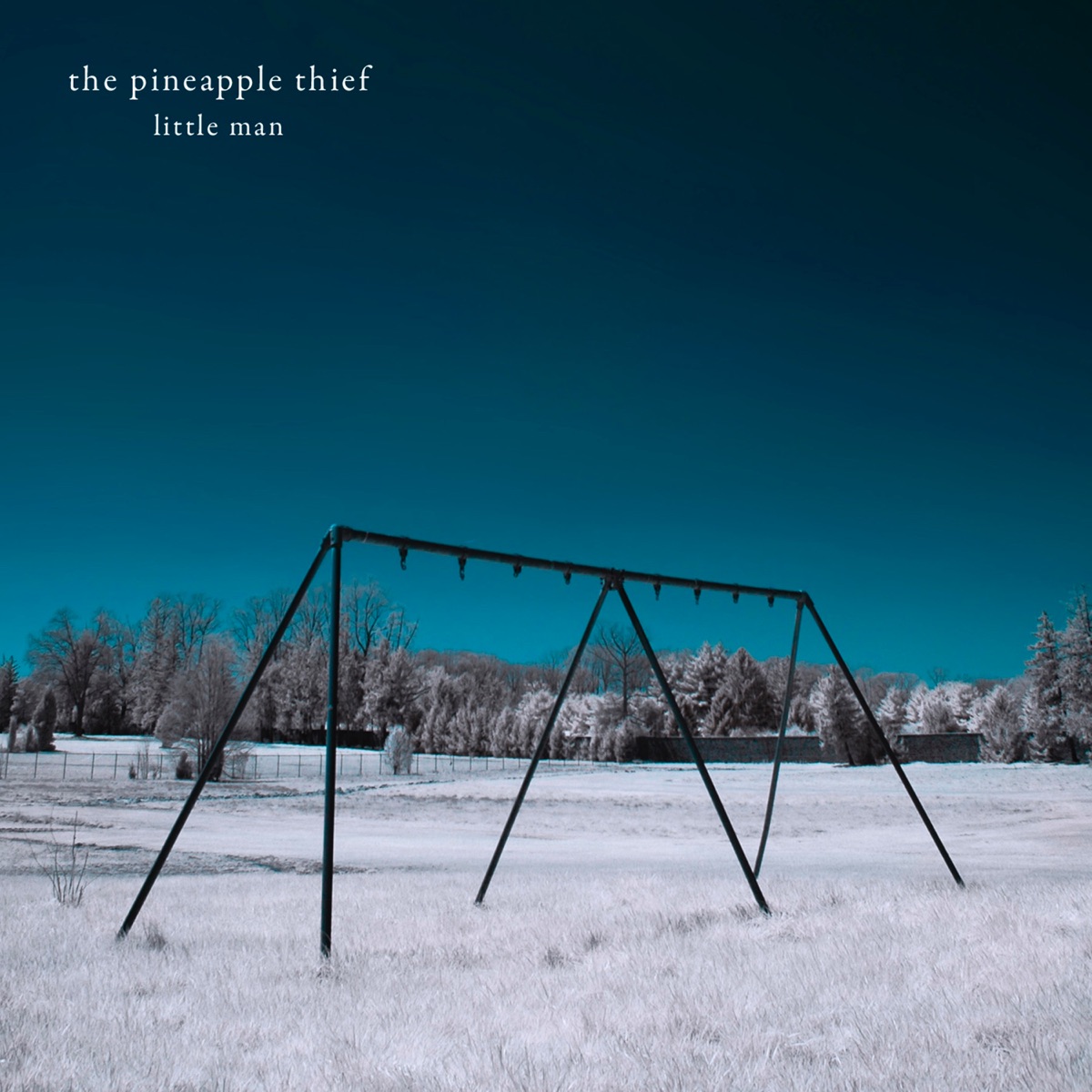 Обложка The Pineapple Thief — Little Man