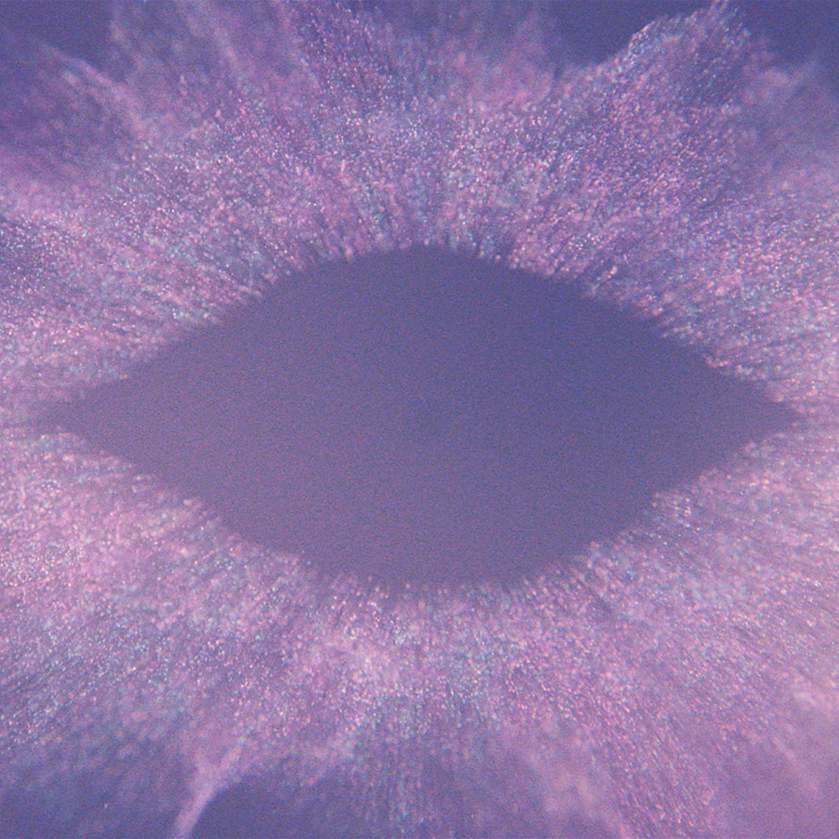 Обложка Jon Hopkins — Music For Psychedelic Therapy