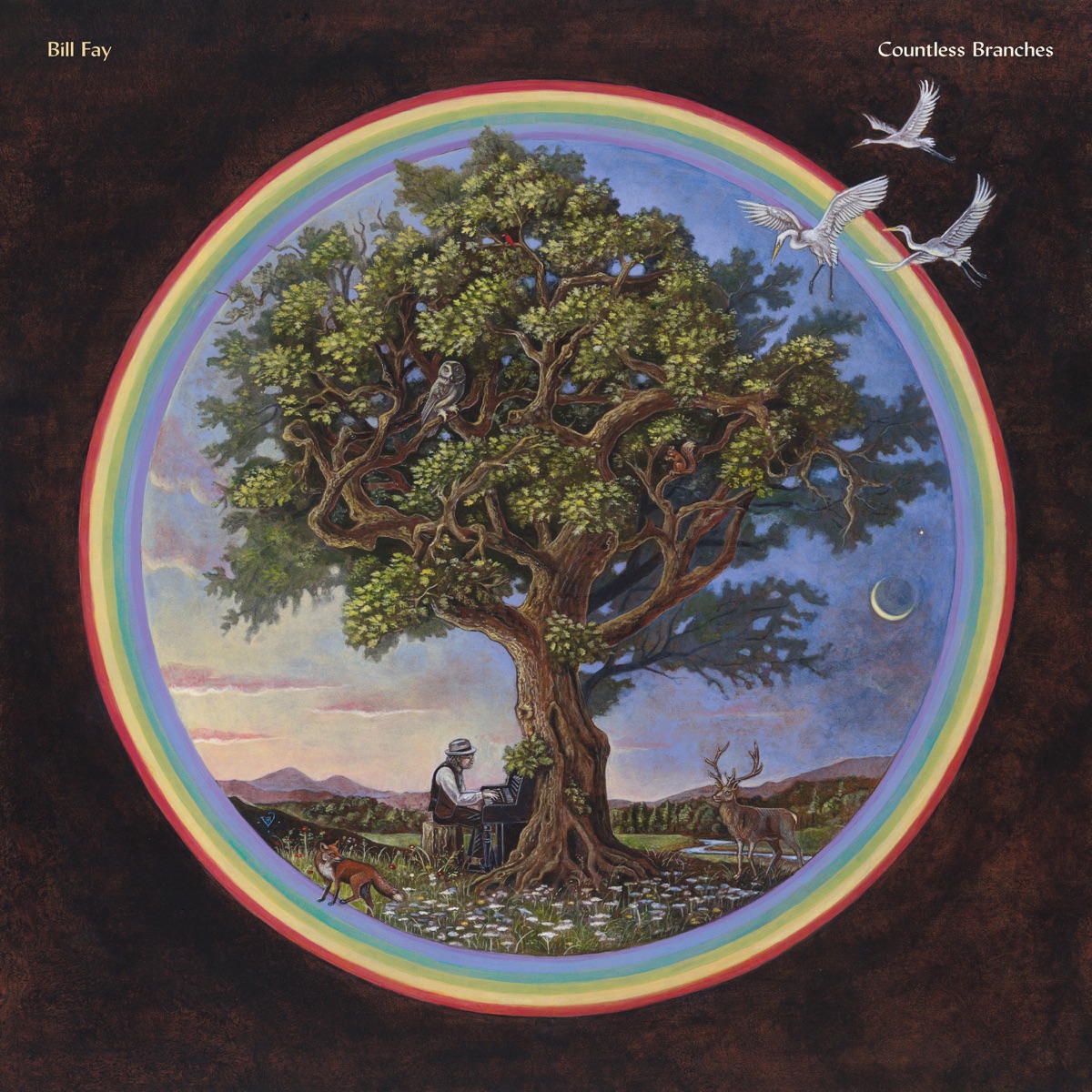 Обложка Bill Fay — Countless Branches