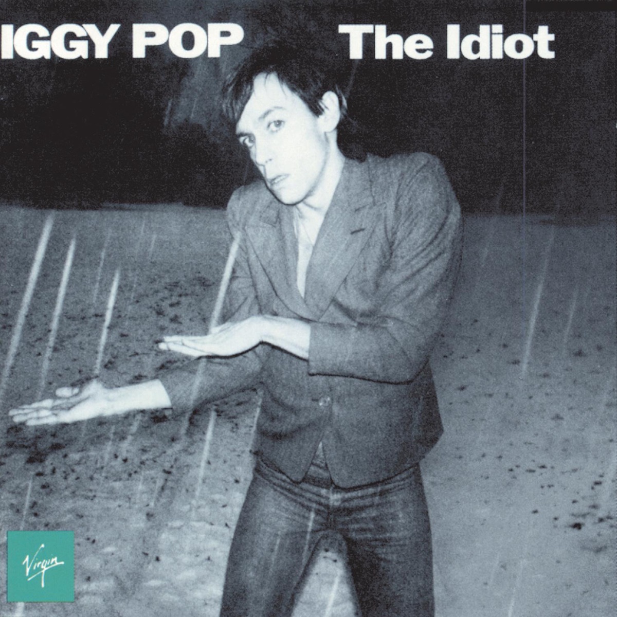 Обложка Iggy Pop — The Idiot