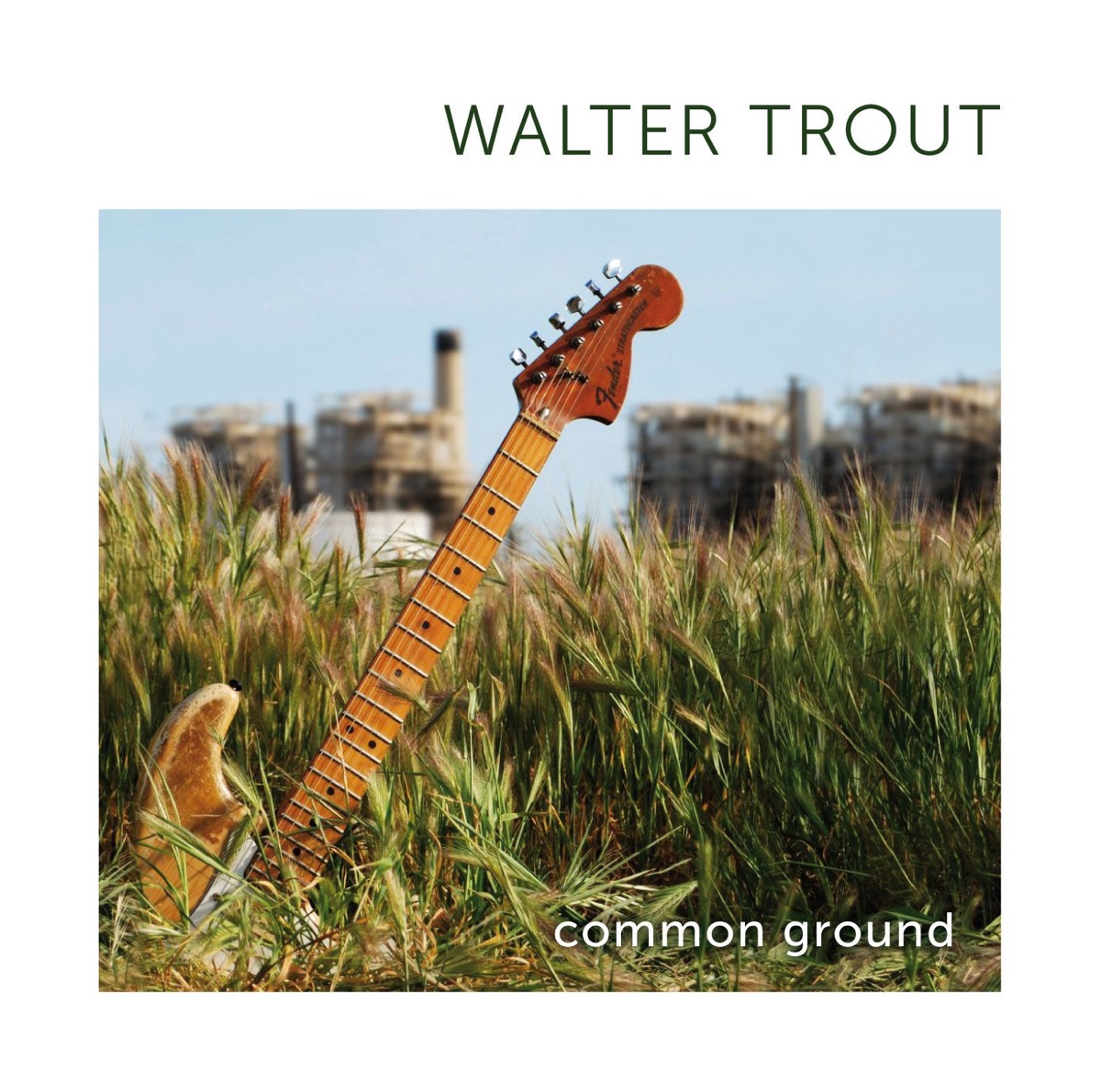Обложка Walter Trout — Common Ground