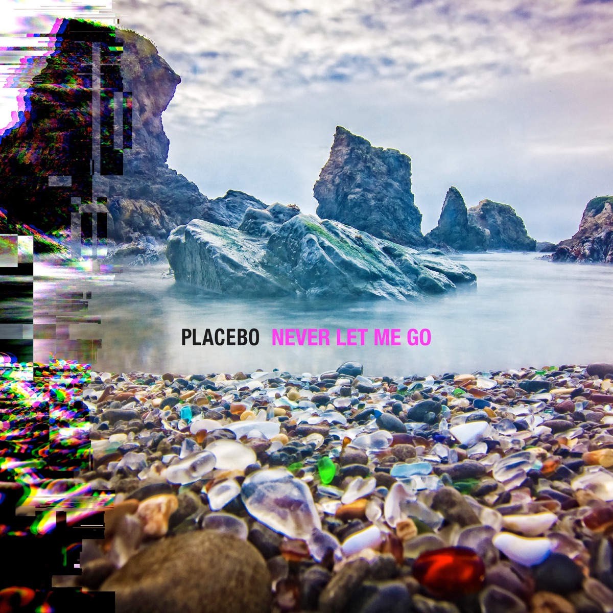 Обложка Placebo — Never Let Me Go