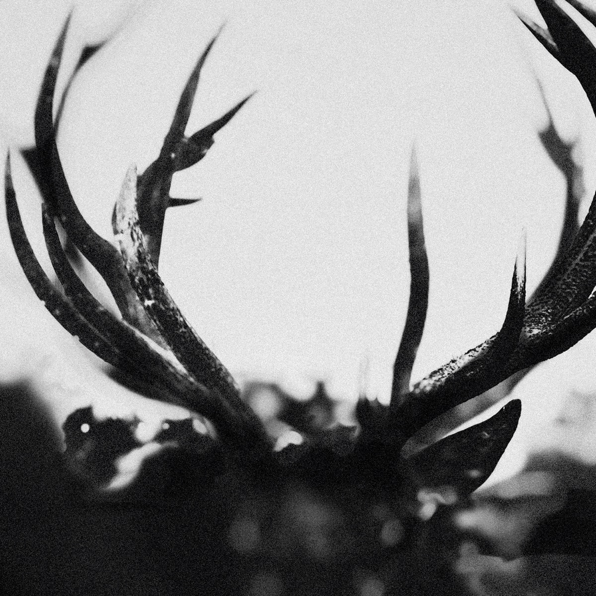 Обложка Ihsahn — Ihsahn