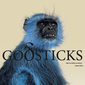 Обложка Godsticks — This Is What A Winner Looks Like