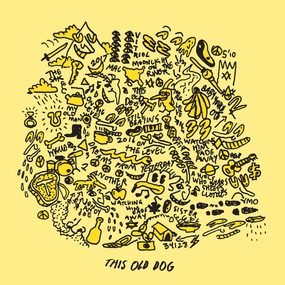 Обложка Mac DeMarco — This Old Dog