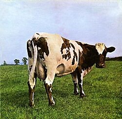 Обложка Pink Floyd — Atom Heart Mother