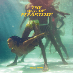 Обложка Janelle Monáe — The Age Of Pleasure