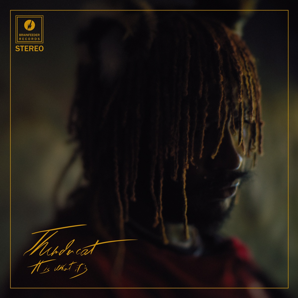 Обложка Thundercat — It Is What It Is