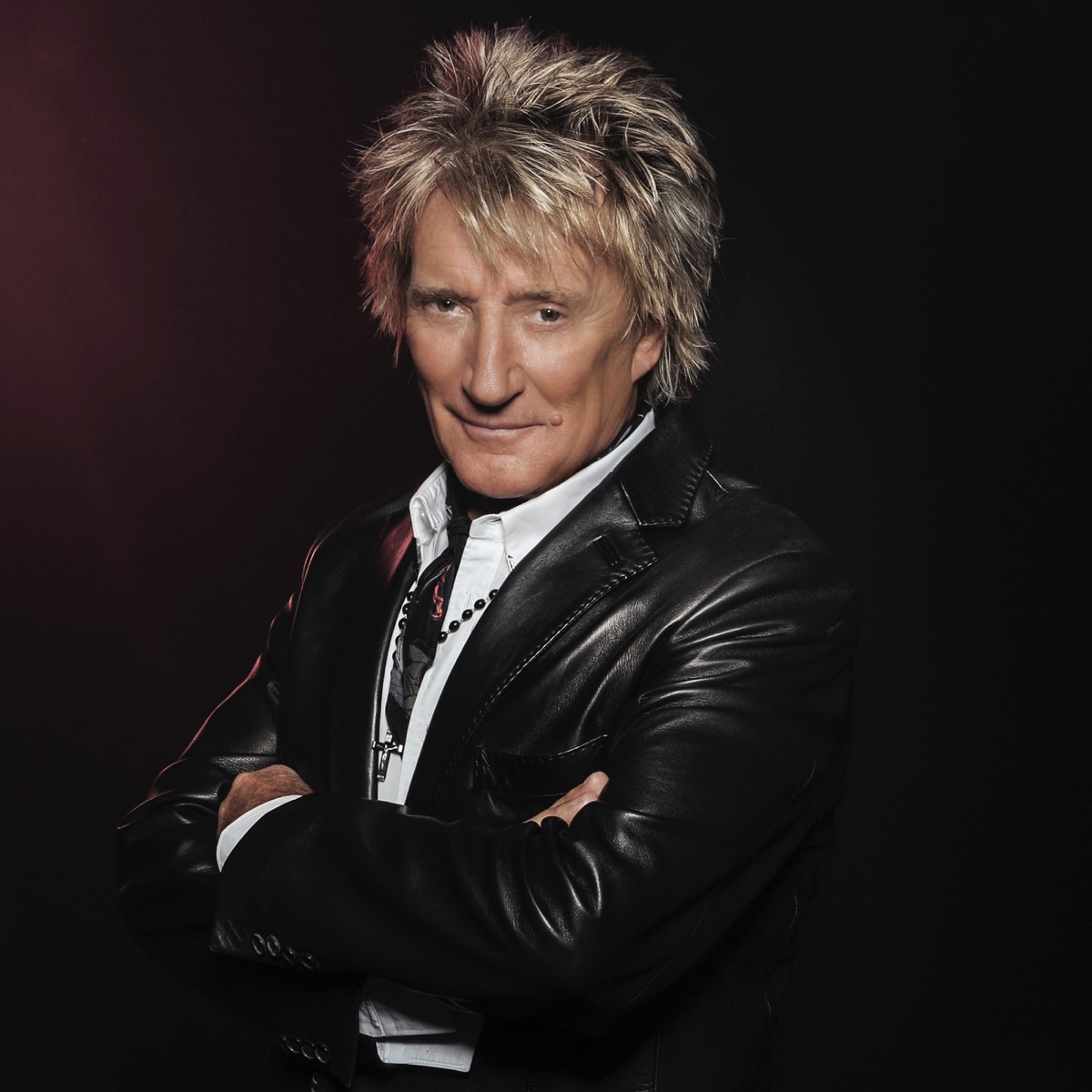 Rod Stewart / Faces