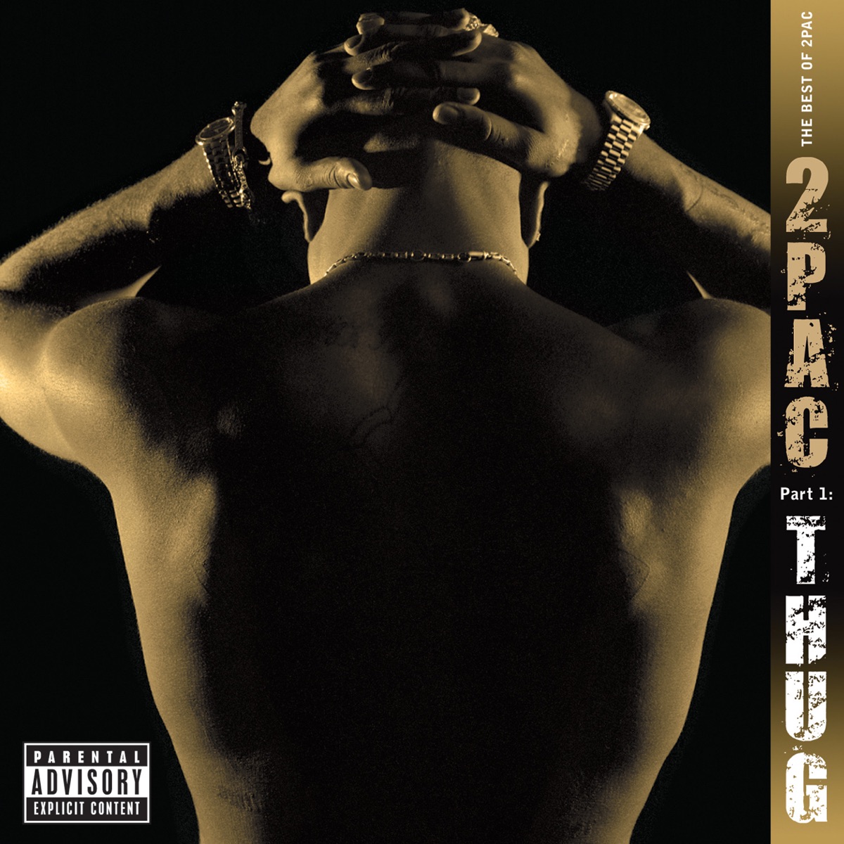 Обложка 2Pac — The best of 2pac - part 1: thug