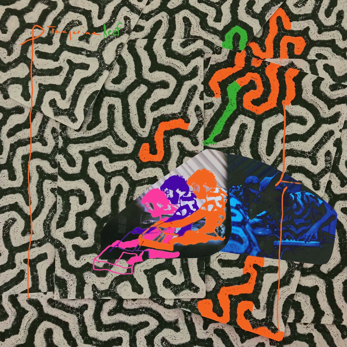 Обложка Animal Collective — Tangerine Reef