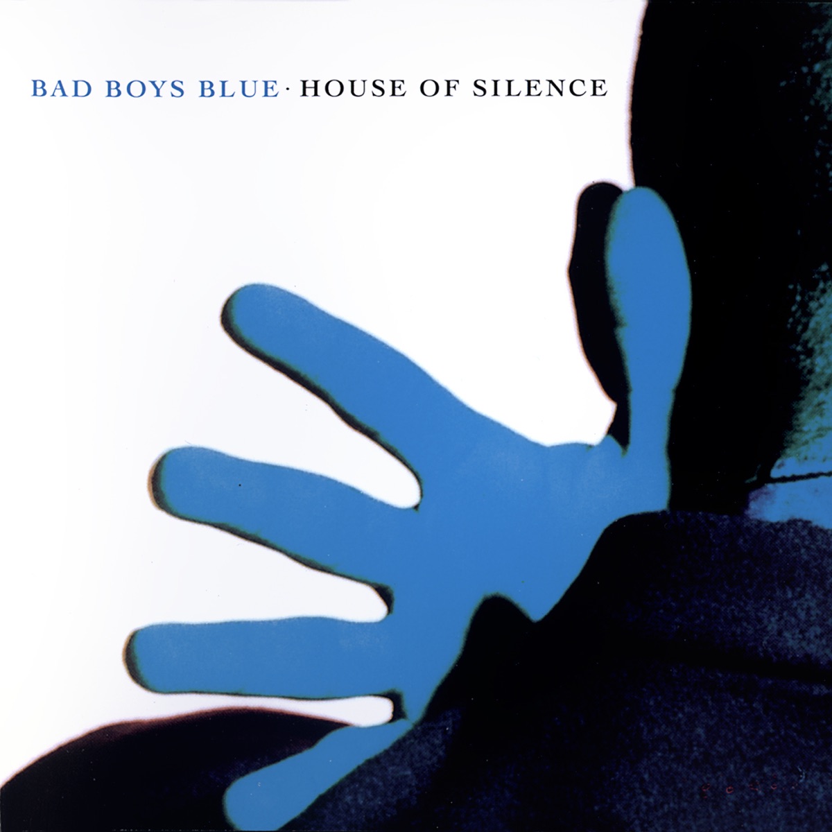Обложка Bad Boys — House of Silence