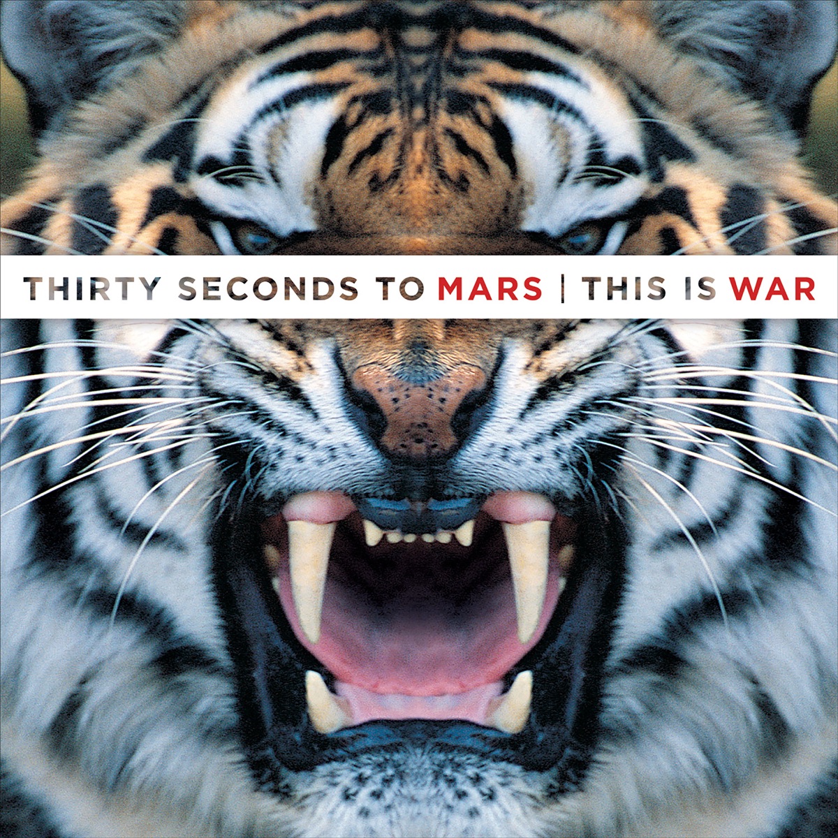 Обложка Thirty Seconds to Mars — This Is War
