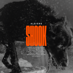 Обложка Algiers — Shook