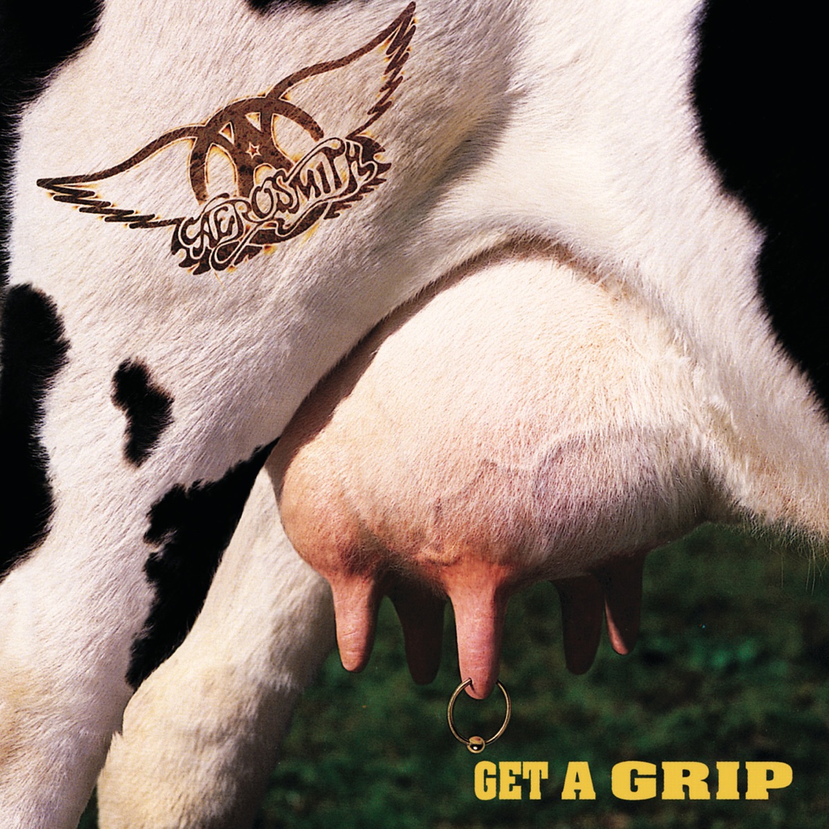 Обложка Aerosmith — Get A Grip