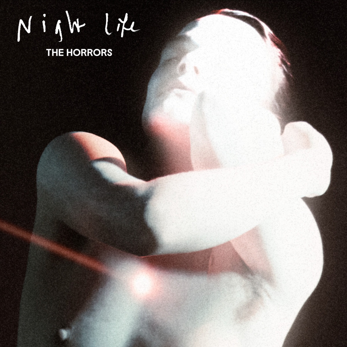 Обложка The Horrors — Night Life