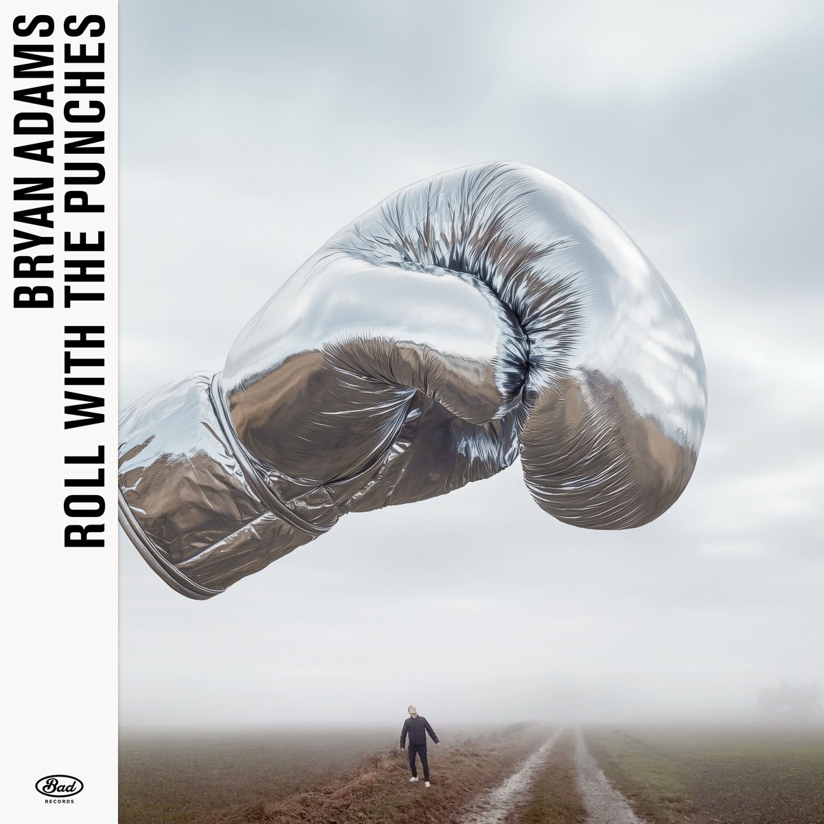Обложка Bryan Adams — Roll With The Punches