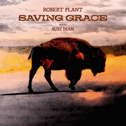 Обложка Robert Plant — Saving Grace