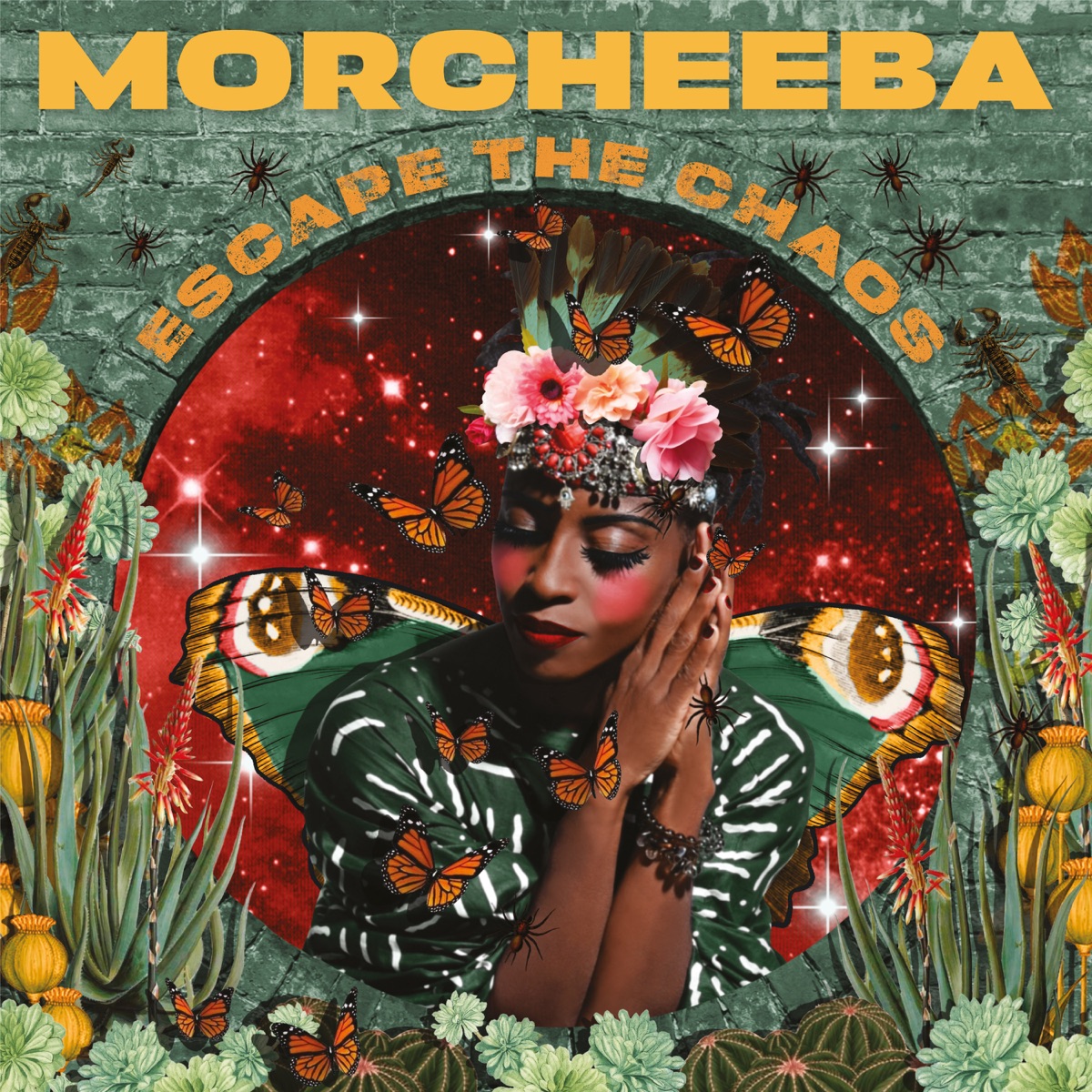 Обложка Morcheeba — Escape the Chaos
