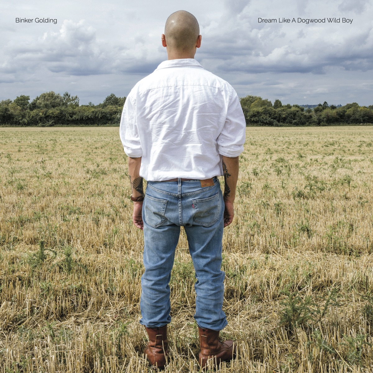Обложка Binker Golding — Dream Like A Dogwood Wild Boy