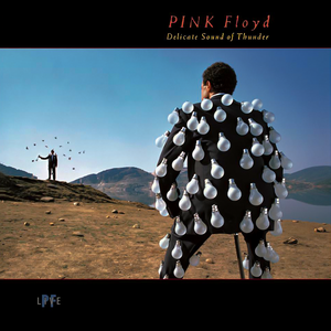 Обложка Pink Floyd — Delicate Sound Of Thunder