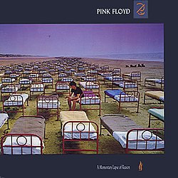 Обложка Pink Floyd — A Momentary Lapse Of Reason