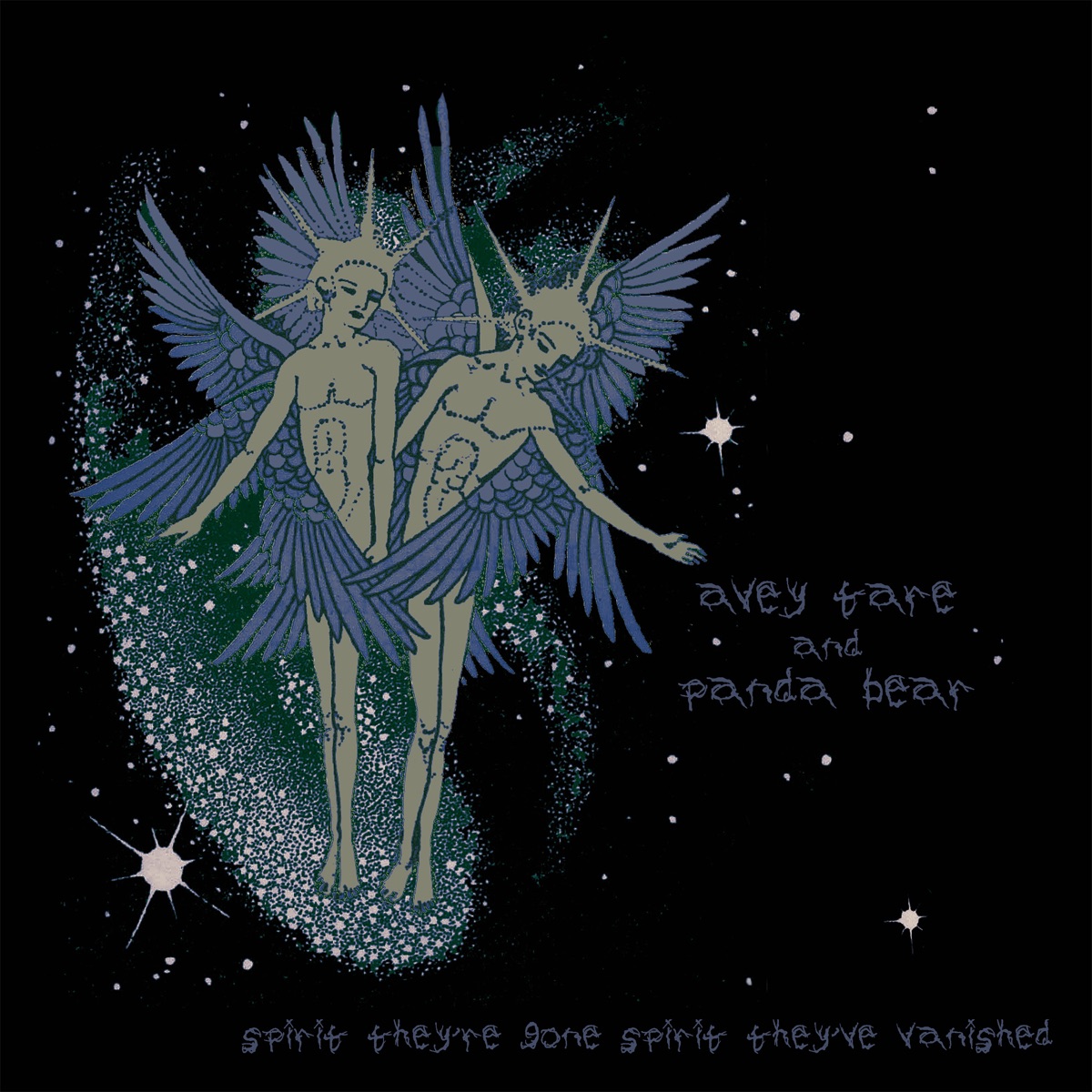 Обложка Animal Collective — Spirit They'Re Gone Spirit They'Ve Vanished