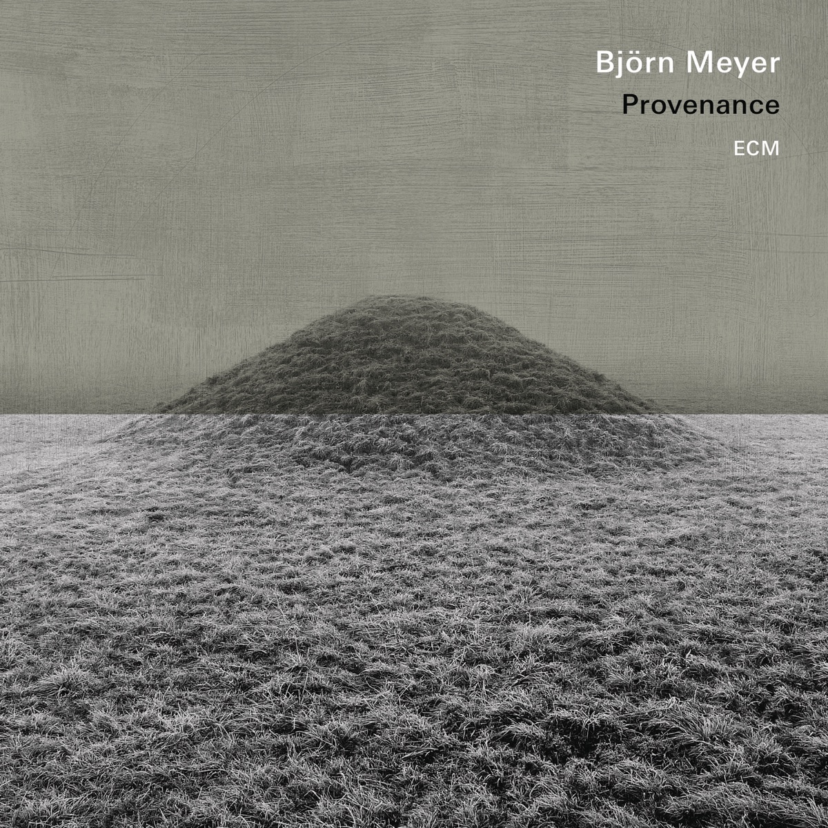 Обложка Björn Meyer — Provenance