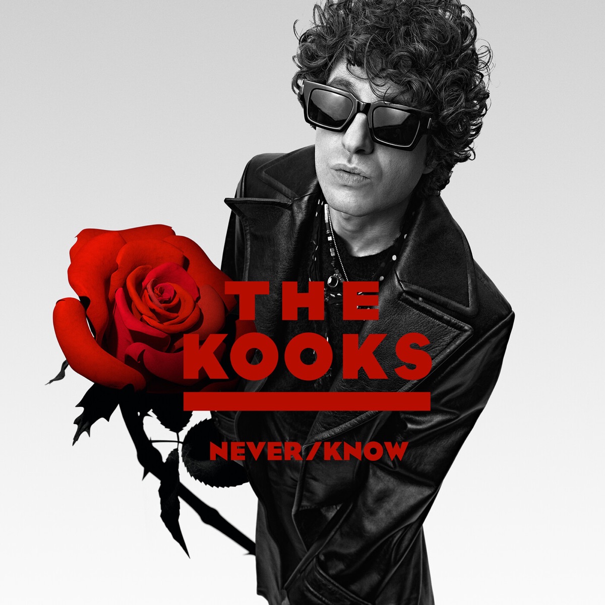 Обложка The Kooks — Never/Know