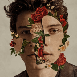 Обложка Shawn Mendes — Shawn