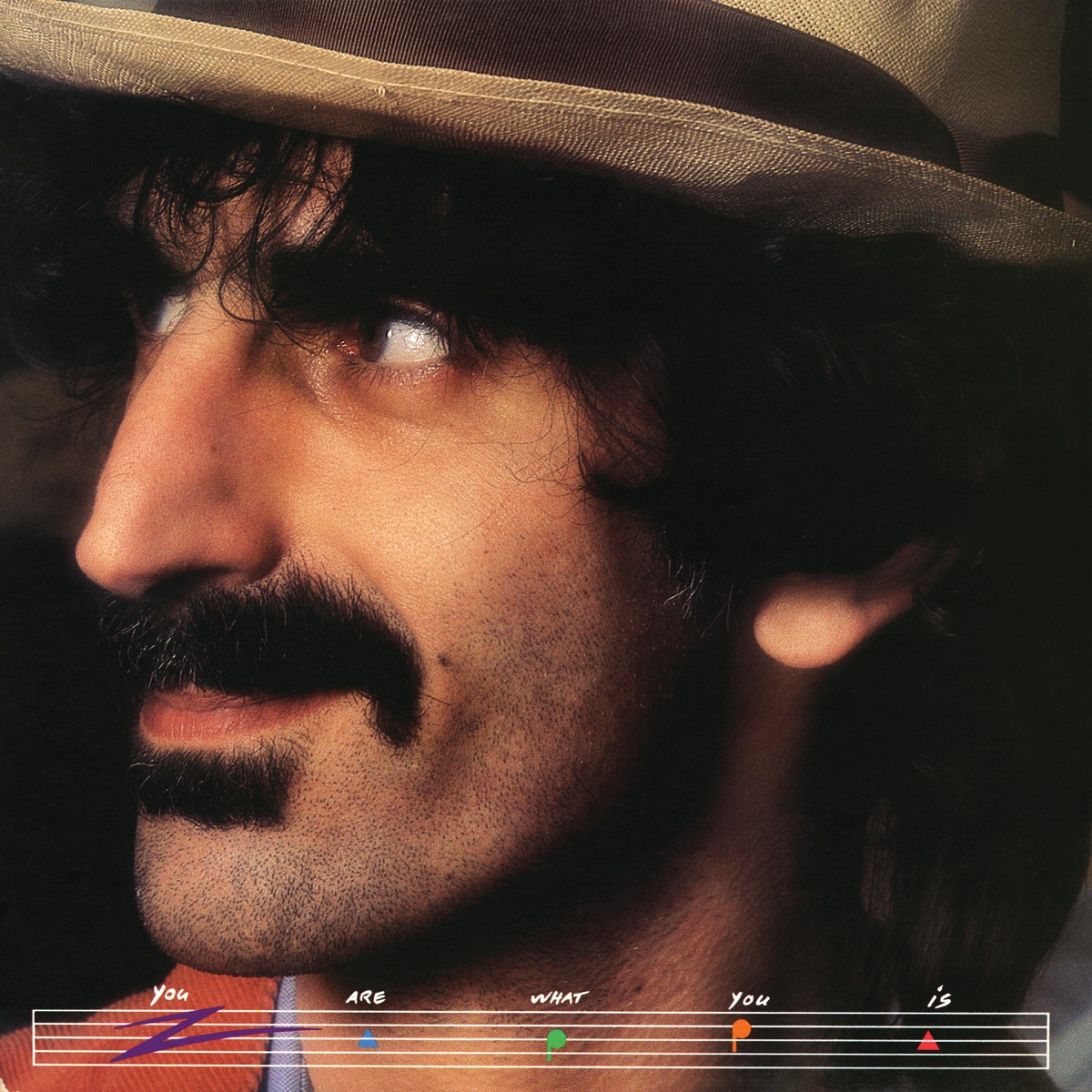 Обложка Frank Zappa — You Are What You Is