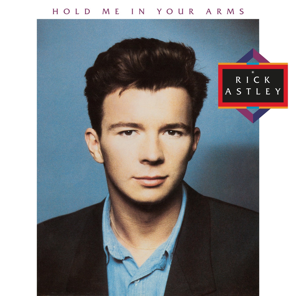 Обложка Rick Astley — Hold Me In Your Arms