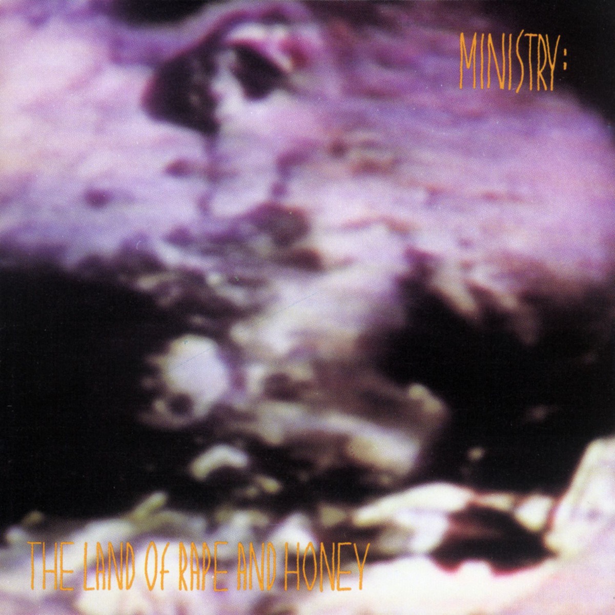 Обложка Ministry — The Land Of Rape And Honey