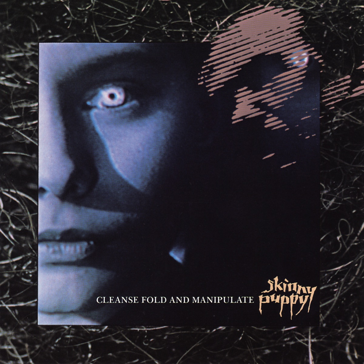 Обложка Skinny Puppy — Cleanse Fold And Manipulate