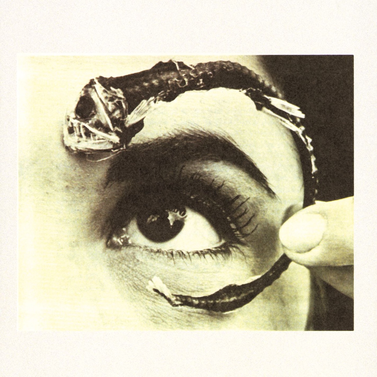Обложка Mr. Bungle — Disco Volante