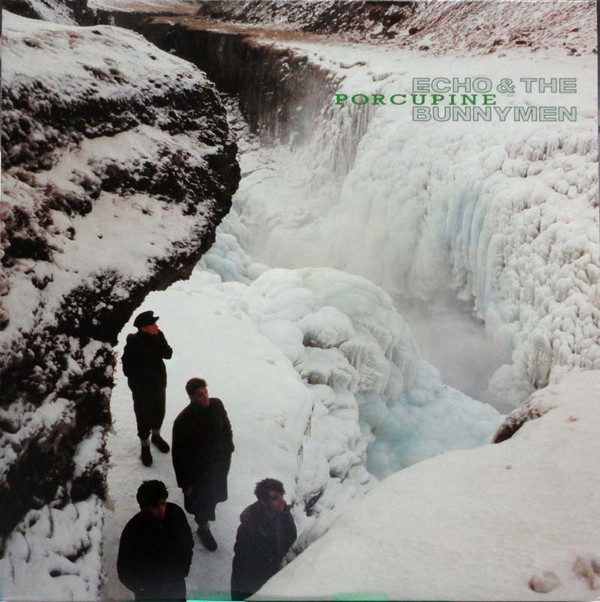 Обложка Echo & the Bunnymen — Porcupine