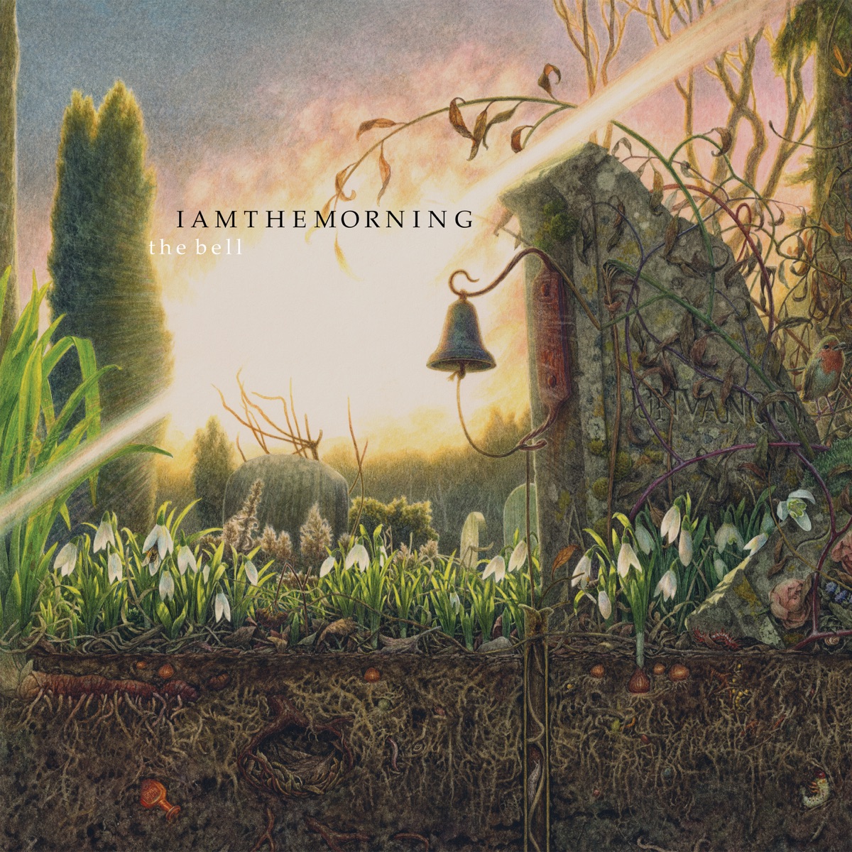 Обложка iamthemorning — The Bell