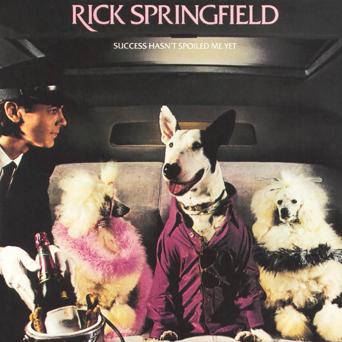 Обложка Rick Springfield — Success Hasn't Spoiled Me Yet